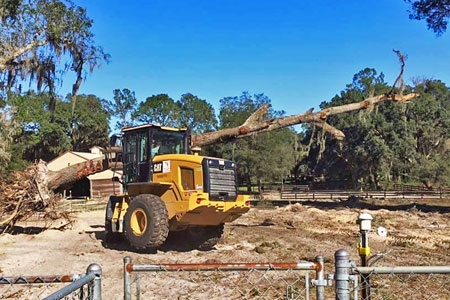 Servicii Profesionale de Defrișare și Curățare Terenuri