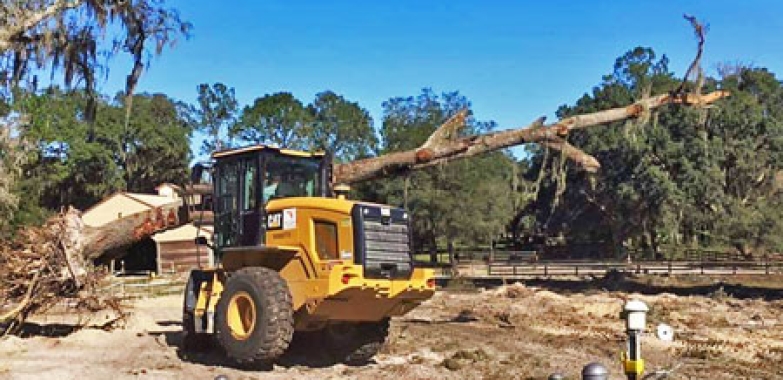 Servicii Profesionale de Defrișare și Curățare Terenuri