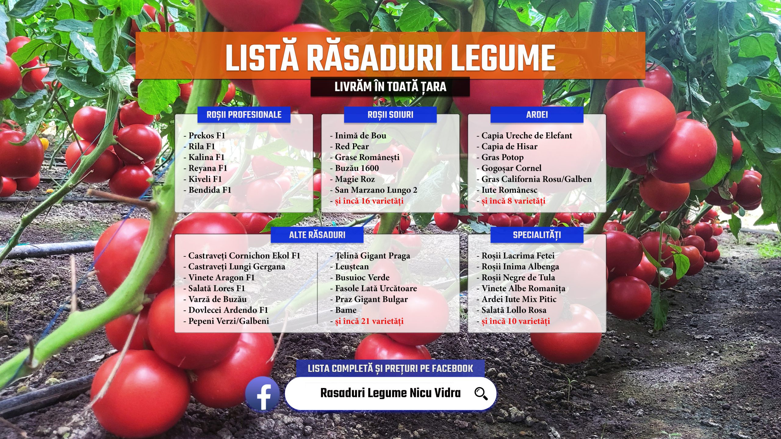 Rasaduri * Rasad rosii prekos inima de bou rila castraveti ardei etc 2025