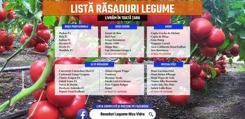 Rasaduri * Rasad rosii prekos inima de bou rila castraveti ardei etc 2025