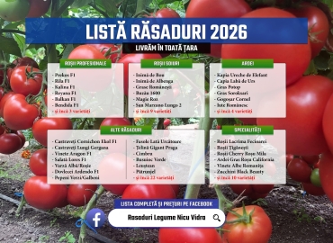 Vand Rasad Rosii Ardei Vinete Castraveti Varza | Rasaduri Legume 2026