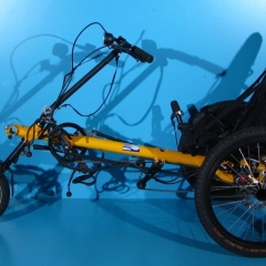 Tricicleta adaptiva- Hase Trets