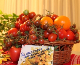 Rasaduri rosii, ardei, castraveti, vinete – Rasaduri legume de vanzare 2026