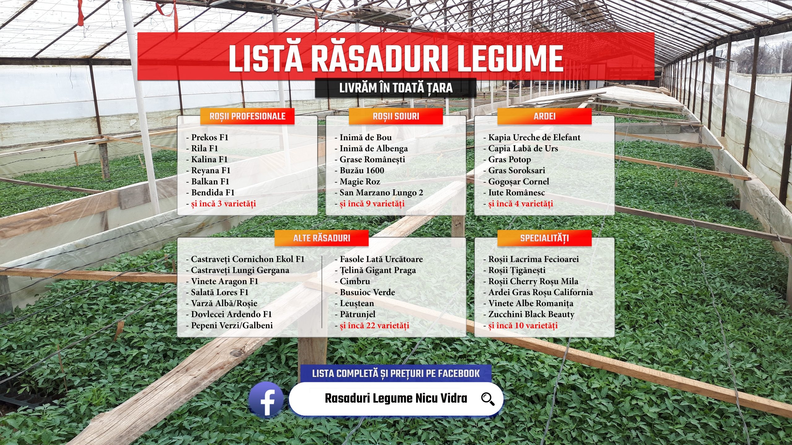 Rasaduri legume : Rasad rosii / tomate ardei castraveti vinete salata 2026