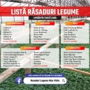 Rasaduri legume : Rasad rosii / tomate ardei castraveti vinete salata 2026
