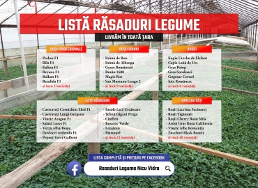 Rasaduri legume : Rasad rosii / tomate ardei castraveti vinete salata 2026