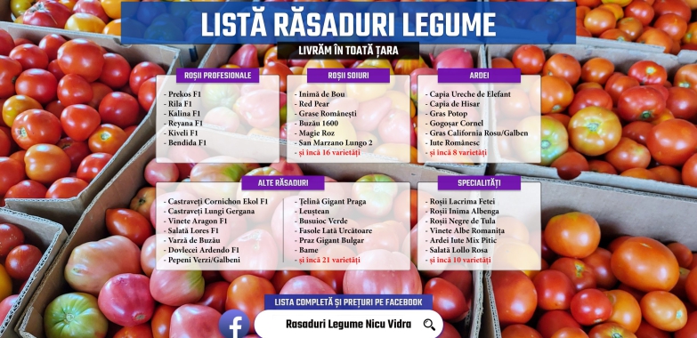Rasad rosii castraveti vinete ardei alte rasaduri legume 2025