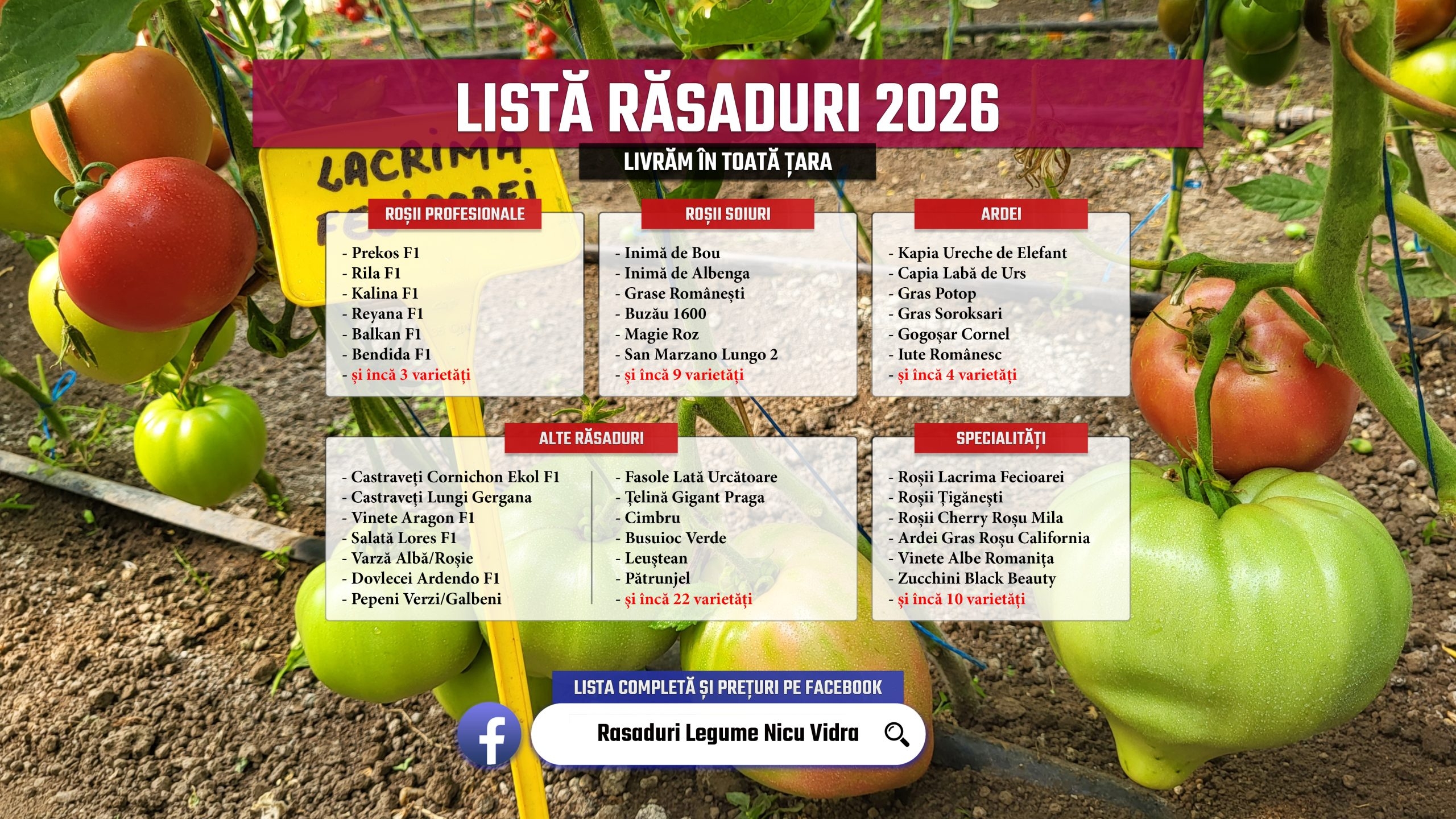 Rasaduri | Rasad rosii romanesti si hibrizi, ardei, vinete, castraveti 2026