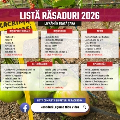 Rasaduri | Rasad rosii romanesti si hibrizi, ardei, vinete, castraveti 2026