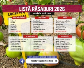 Rasaduri | Rasad rosii romanesti si hibrizi, ardei, vinete, castraveti 2026