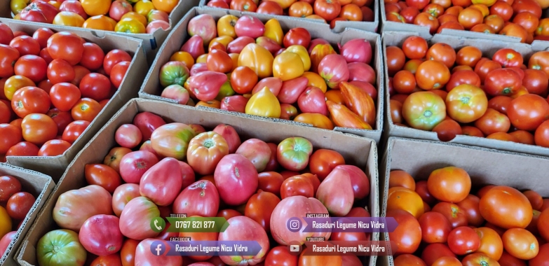 Rasad rosii [tomate] | Rasaduri rosii Prekos, Inima de bou, Ardei, etc 2026