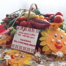 Rasad de rosii, ardei, vinete, castraveti | Rasaduri de Legume