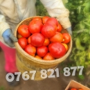 Rasaduri Legume: Rasad de Rosii, Castraveti, Vinete, Ardei, Aromatice 2026