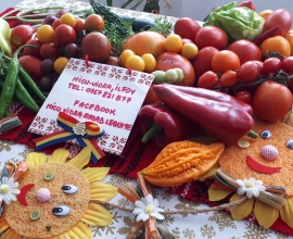 Vand rasad ardei, rosii, castraveti, vinete, varza | Rasaduri Legume 2026