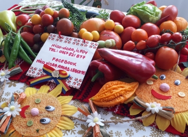 Vand rasad ardei, rosii, castraveti, vinete, varza | Rasaduri Legume 2026
