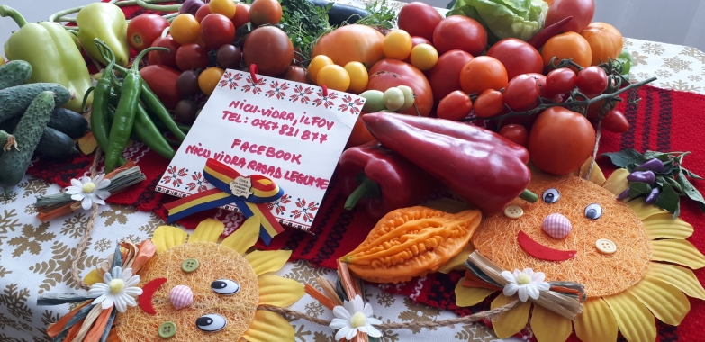 Vand rasad ardei, rosii, castraveti, vinete, varza | Rasaduri Legume 2026