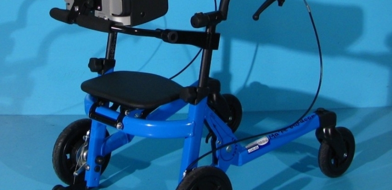 Cadru de mers cu roti pentru copii Schuchmann Malte