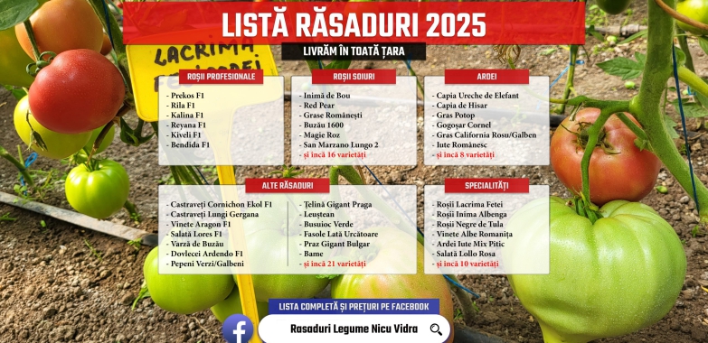 Rasaduri | Rasad rosii romanesti si hibrizi ardei vinete castraveti 2025