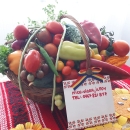 Vand rasad de rosii, ardei, castraveti, vinete | rasaduri de legume 2026