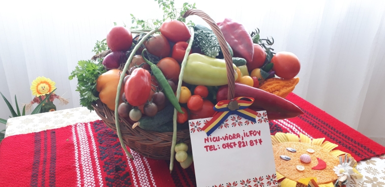 Vand rasad de rosii, ardei, castraveti, vinete | rasaduri de legume 2026