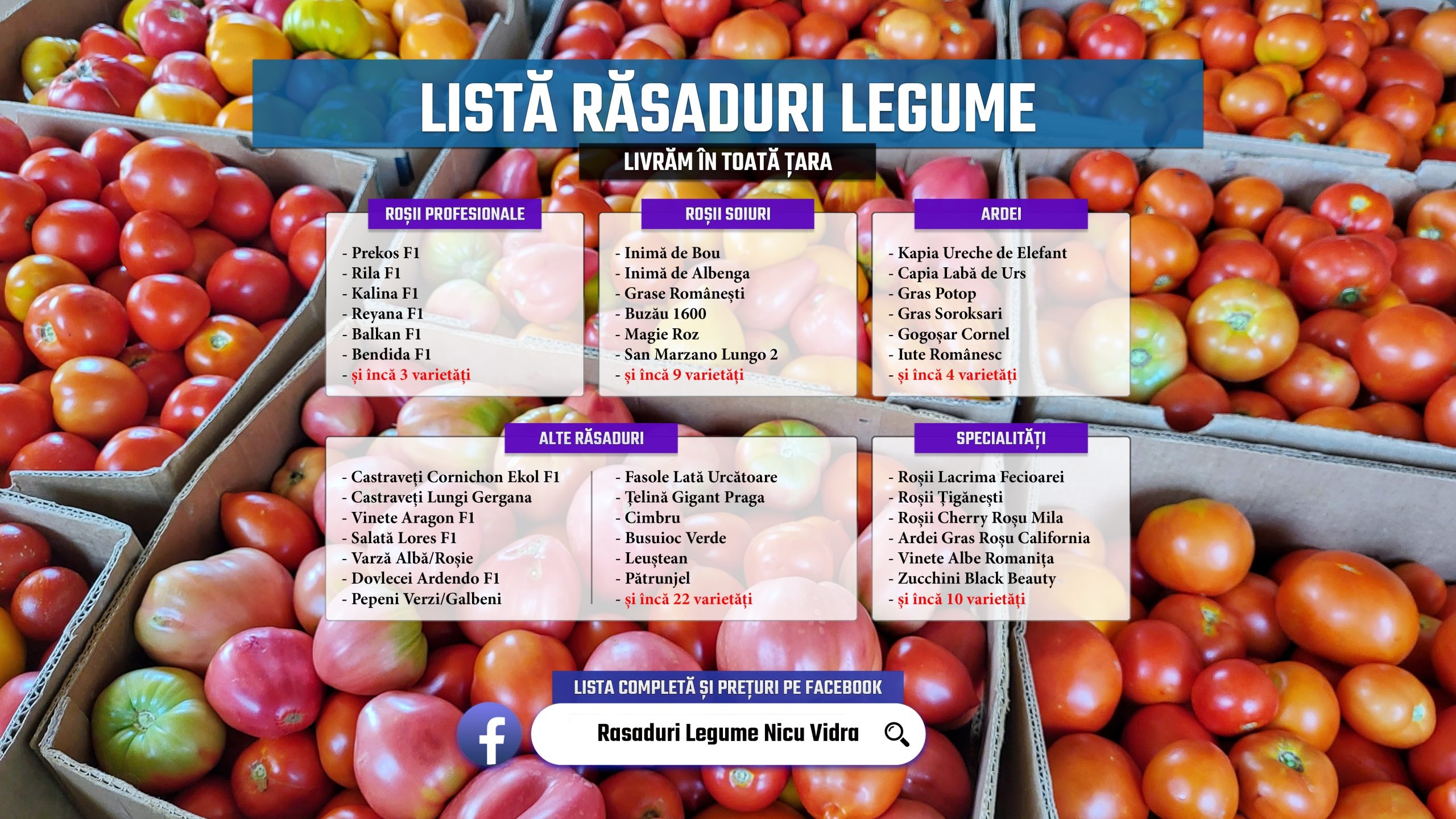 Rasad rosii, castraveti, vinete, ardei si alte rasaduri legume 2026
