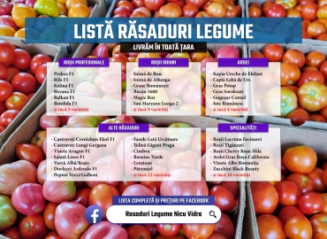 Rasad rosii, castraveti, vinete, ardei si alte rasaduri legume 2026