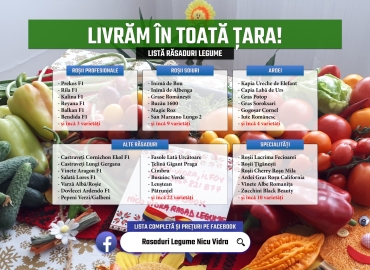 Rasaduri Rosii | Rasad Rosii Ardei Castraveti Vinete | Rasaduri Legume 2026