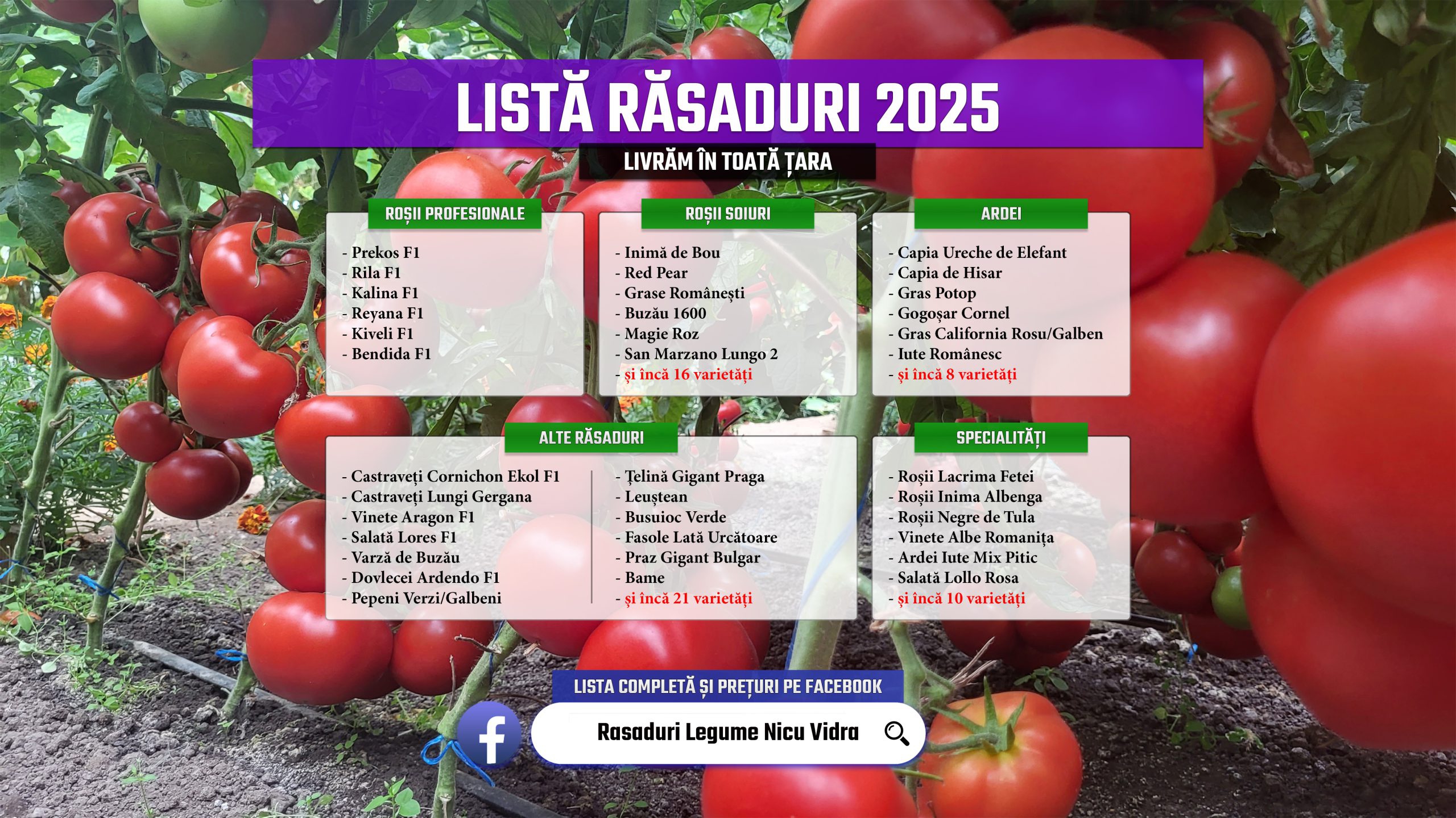 Vand Rasad Rosii Ardei Vinete Castraveti Varza | Rasaduri Legume 2025