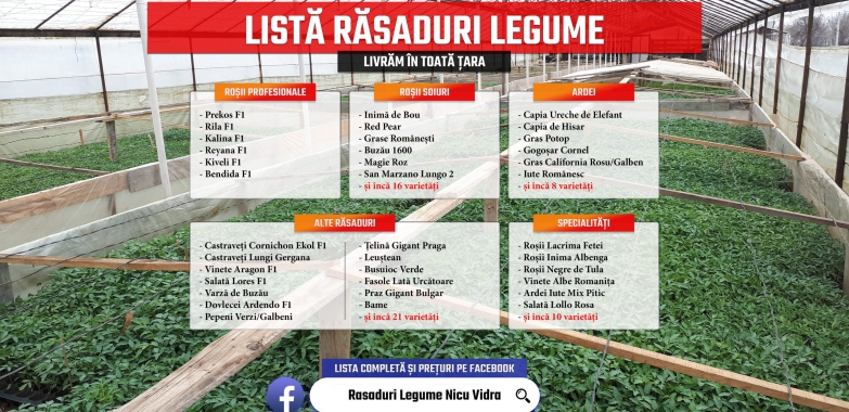Rasaduri legume : Rasad rosii / tomate ardei castraveti vinete salata 2025