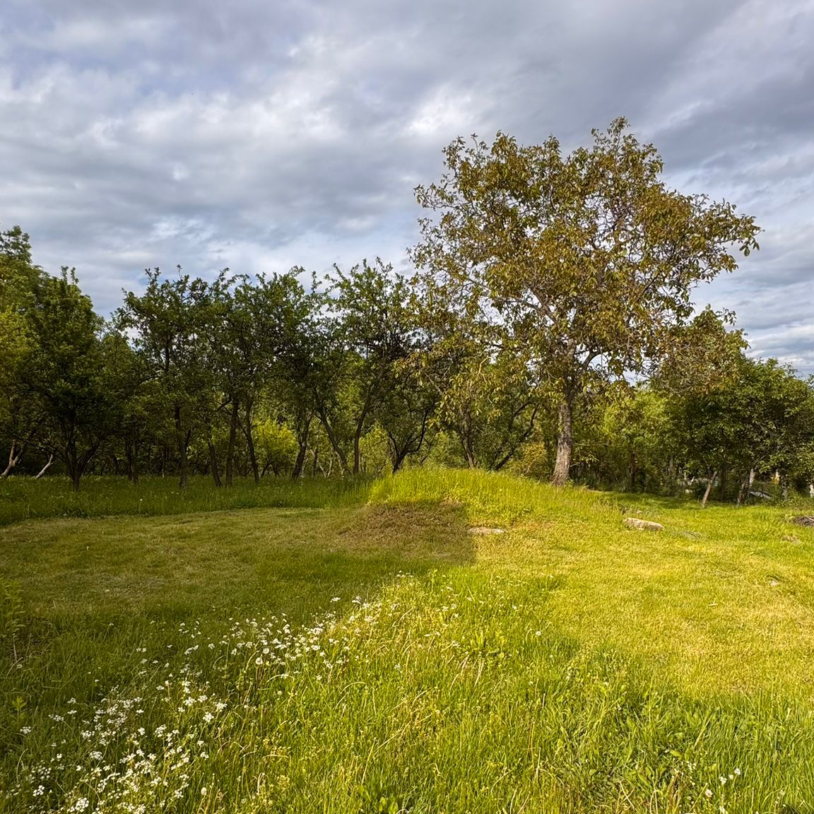 Teren generos de 4774 mp cu livadă și construcție existentă – Ștubeiu, Teișani, jud. Prahova