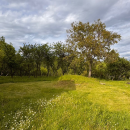 Teren generos de 4774 mp cu livadă și construcție existentă – Ștubeiu, Teișani, jud. Prahova
