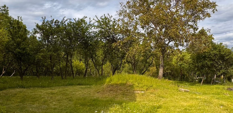 Teren generos de 4774 mp cu livadă și construcție existentă – Ștubeiu, Teișani, jud. Prahova
