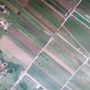 Teren Parcelabil 9901 mp, BERCENI-IF