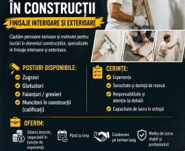 Angajam Finisori Interior/Exterior