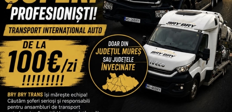 Căutăm șoferi serioși, responsabili și dedicați, care își doresc un loc de muncă stabil într-o companie aflată în continuă dezvoltare.