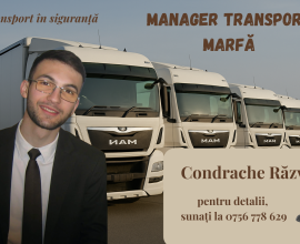 Manager de transport marfă