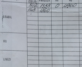 Teren arabil extravilan Mărășești – zonă A7 – 5 €/mp negociabil