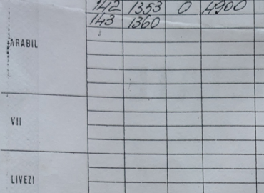 Teren arabil extravilan Mărășești – zonă A7 – 5 €/mp negociabil