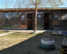 Angajăm Îngrijitor pentru Adăpost Câini