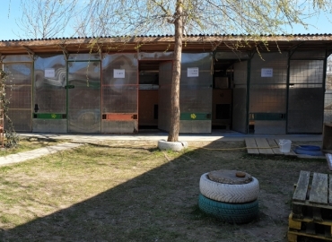 Angajăm Îngrijitor pentru Adăpost Câini