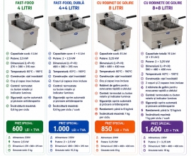 FRITEUZE ELECTRICE PROFESIONALE Horeca Bucuresti