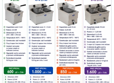 FRITEUZE ELECTRICE PROFESIONALE Horeca Bucuresti