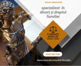 Avocat Consultanta Juridica Online. Sfaturi juridice rapide