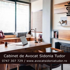 Asistenta si reprezentare juridica