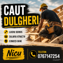 Caut dulgheri pentru munca în construcții!