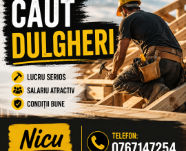 Caut dulgheri pentru munca în construcții!