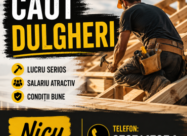 Caut dulgheri pentru munca în construcții!