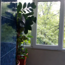Apartament 3 camere Zona Mihai Bravu etaj 2/4