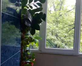 Apartament 3 camere Zona Mihai Bravu etaj 2/4