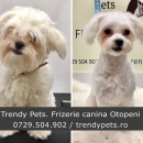 Trendy Pets. Frizerie si cosmetica canina Otopeni